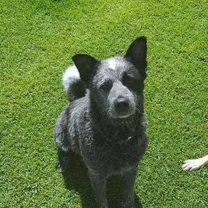 Meet your Posher, Patti